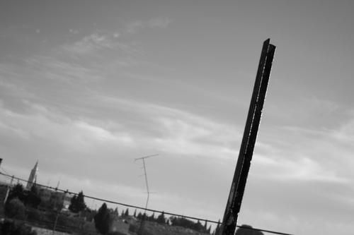 PAL-8-057-B_1.jpg