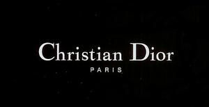 dior_logo.jpg