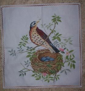 oiseau-dans-son-nid.jpg