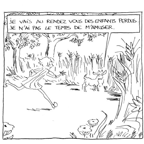 Chat-perche--2.jpg