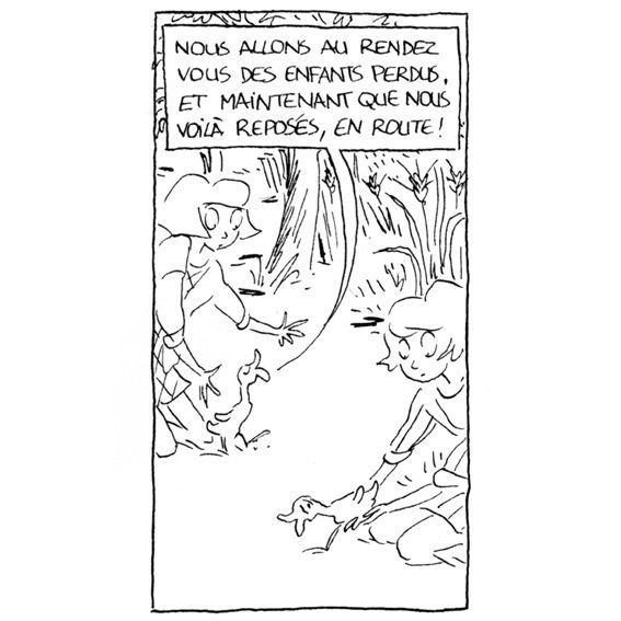 Chat-perche--3.jpg