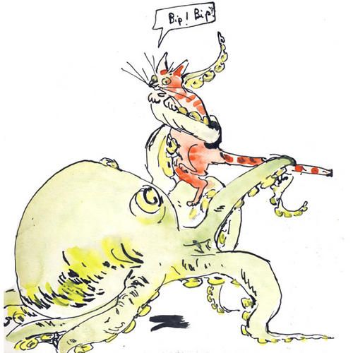 chat-et-poulpe.jpg
