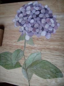 BAC-hortensia.jpg