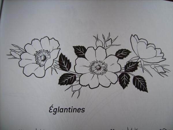 Cahier de dessins les fleurs