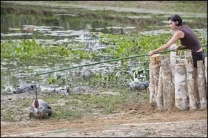 pekin-express-animaux.jpg