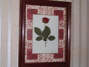 IMG_7450.JPG