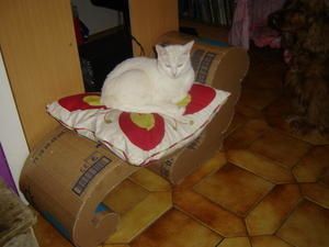 003-copie-1.JPG