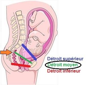 Le détroit moyen bassin-et-detroits2moy.jpg