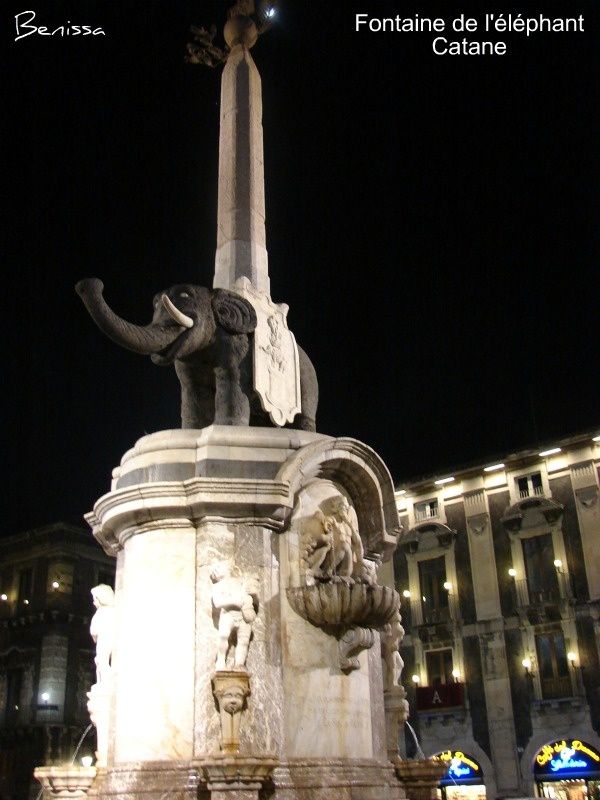elephant.jpg