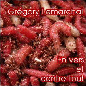 gregory-lemarchal-copie-2.png