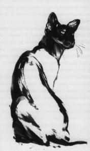 img022.jpg