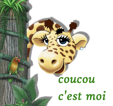 15511-copie-1.gif