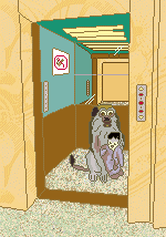 ascenseursingescolo.gif