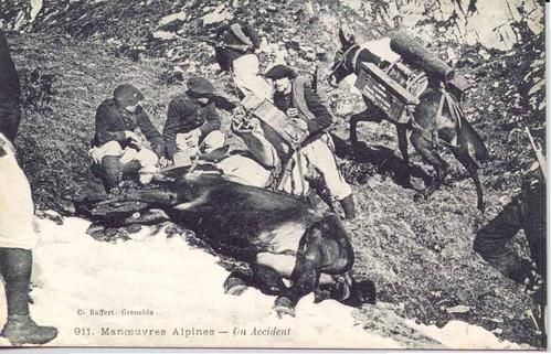 accidentmulet.jpg