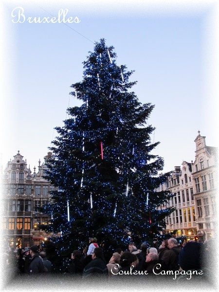 Bruxelles9