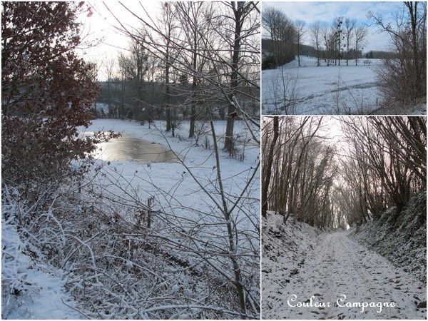 neige mosaique