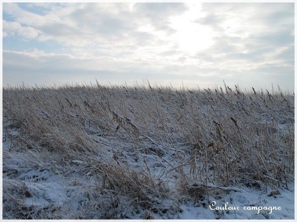 neige6