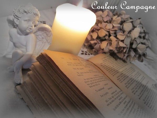 livre7