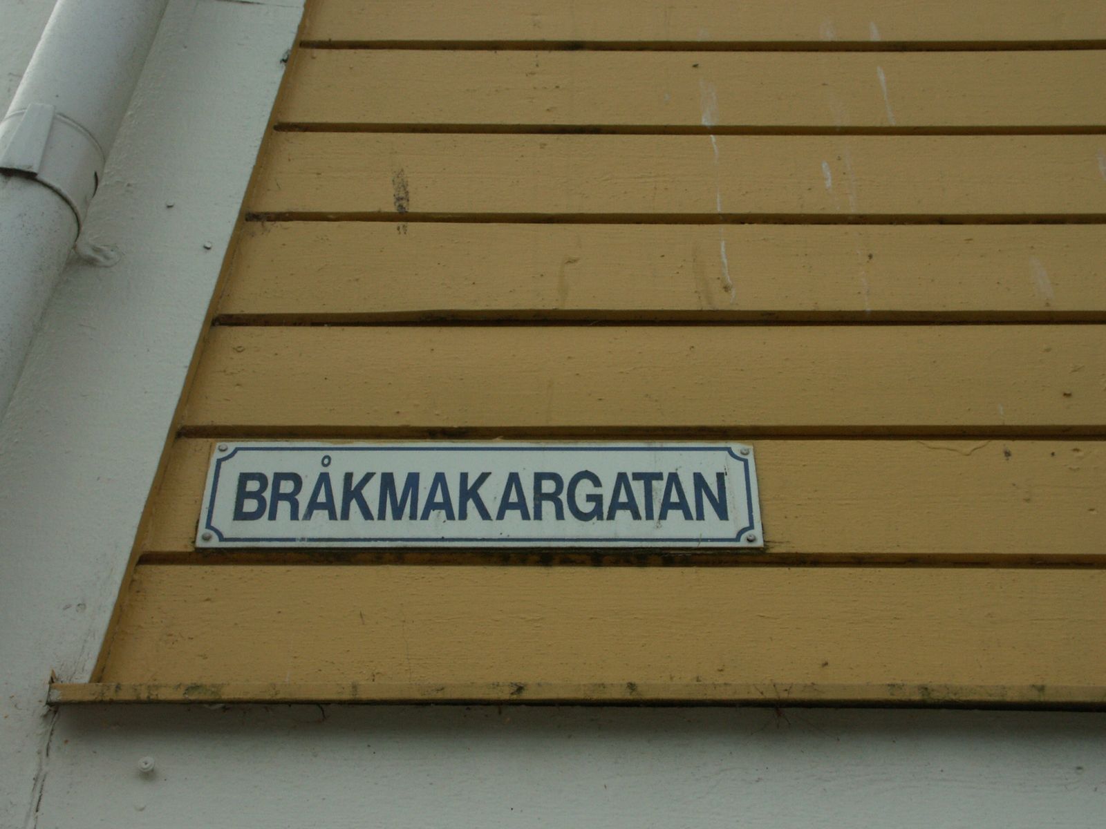 PICT0466.jpg