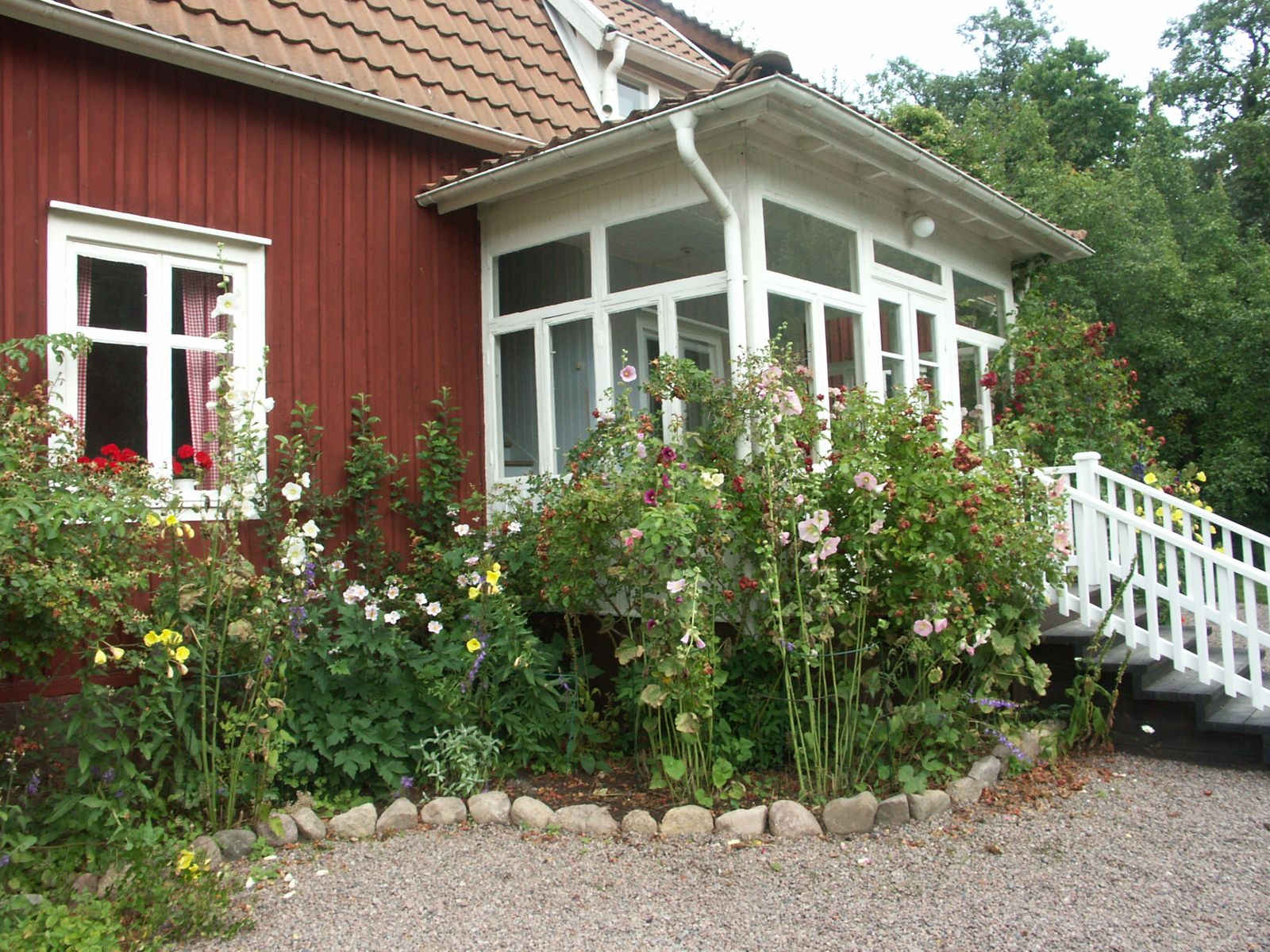 PICT0532.jpg