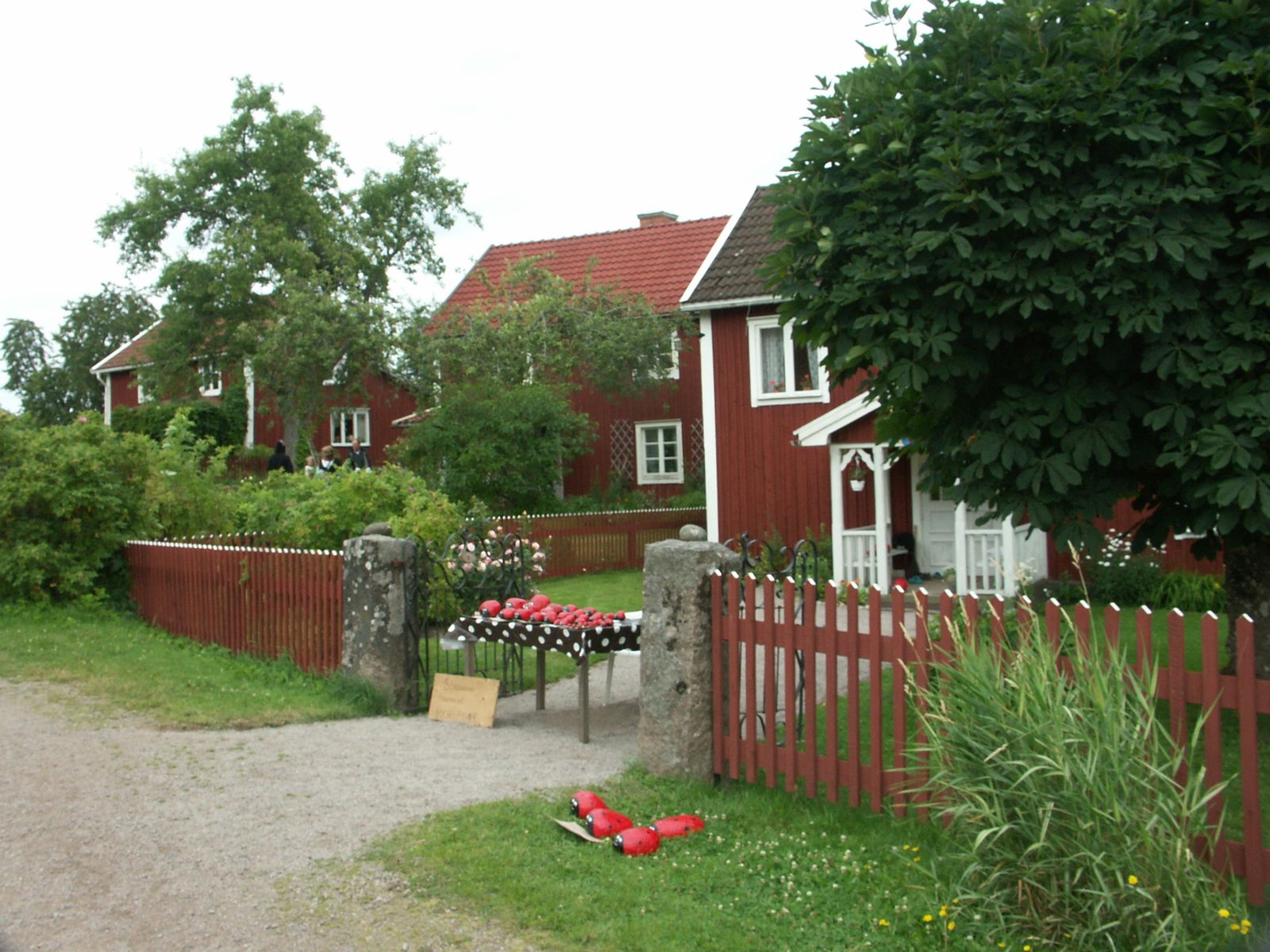 PICT0575.jpg