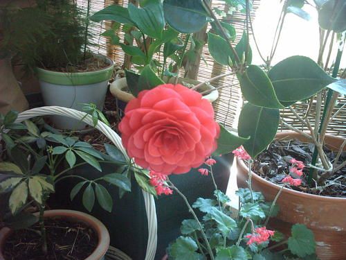 IMAG2877.JPG
