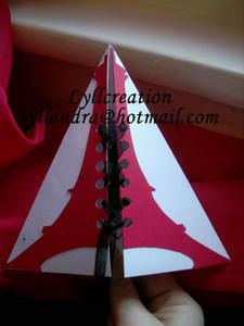 Photo-009bis.jpg