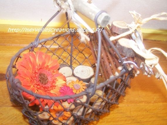 100_3003-6687551cdb.jpg