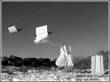 Jean-Marc Godès, le photographe des livres - Le grenier à livres