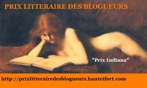 Prix-litt-raire-blogueurs.jpg