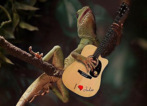 adam-orzechowski-iguana-guitar.jpg