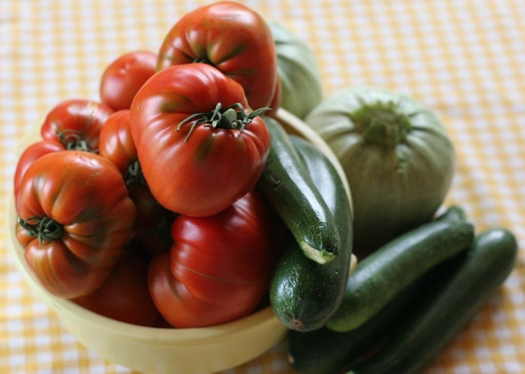 recette_tomate_courgette recette_tomate_courgette