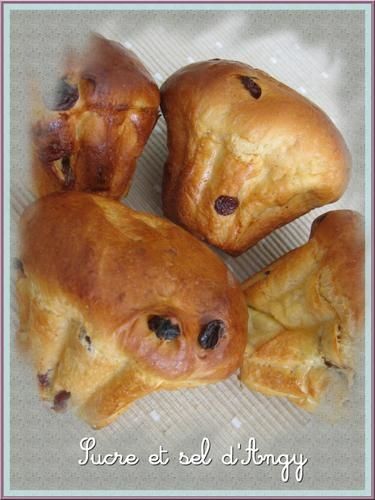 Briochettes aux raisins et la cardamome Briochettes aux raisins et la cardamome