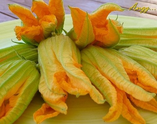 fleurs de courgette fleurs de courgette