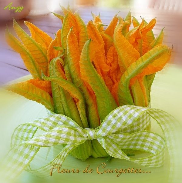 fleurs de courgette fleurs de courgettes