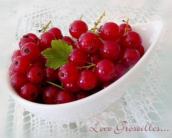 groseilles groseilles
