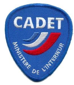 insigne13.jpg