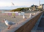 berck2.jpg