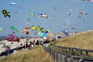 berck4.jpg