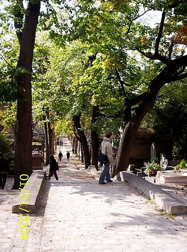 Allées et degrés au cimetière du Père Lachaise
