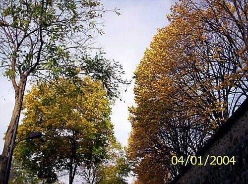 Cimetière du Père-Lachaise - Paris