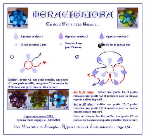 Fiche-Meravigliosa-001-copie-1.jpg