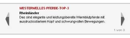 Die Lieblingswellen des Westerpferds, Quelle: bild.de