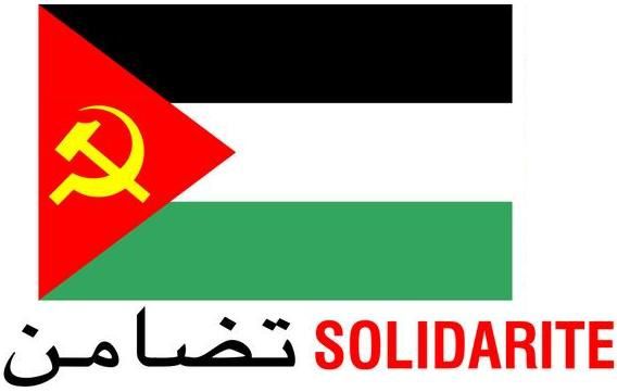 affiche-drapeau-palestine-bis