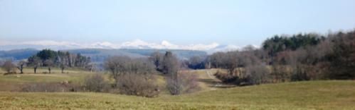 Neige et soleil sur le cantal