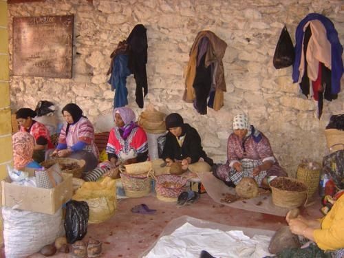 coopérative de femmes : huile d'argan coopérative de femmes : huile d'argan