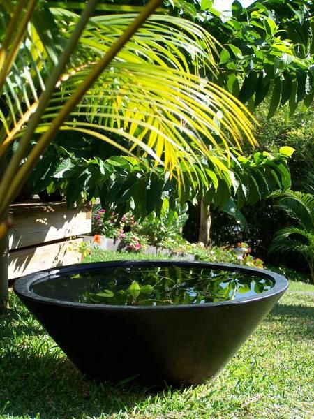Mini bassin au Jardin - Le Jardin du Grillon