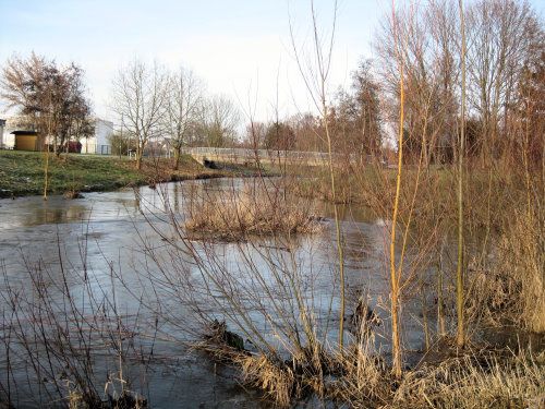 Nidda Motiv 2