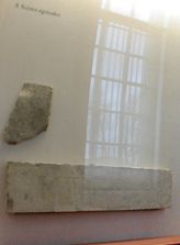 Bas-reliefs de la vitrine 9