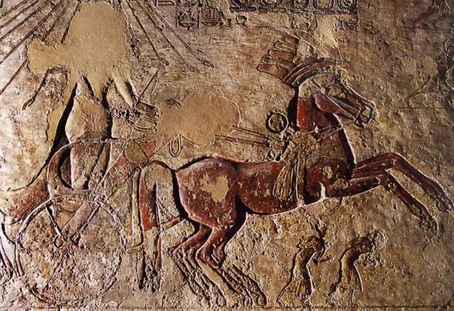Char de parade royal - Tombe de Meryrê à Amarna